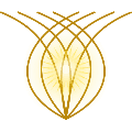 organization-logo
